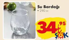 SU BARDAĞI 290 CC